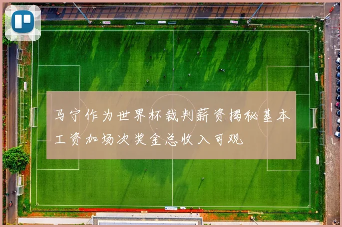 马宁作为世界杯裁判薪资揭秘基本工资加场次奖金总收入可观